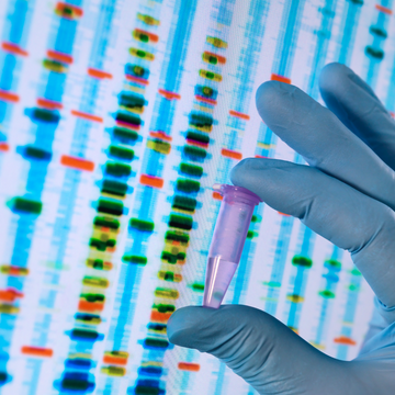 Advanced Spectrophotometric Techniques for High-Precision DNA and RNA Analysis