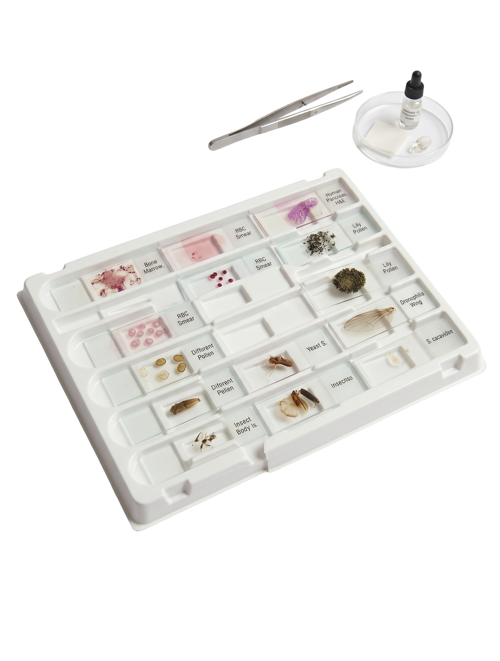 Microscope Slide Tray, Polystyrene, Pack Of 6