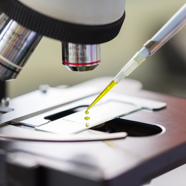 MP300 Series Biological Compound Microscope
