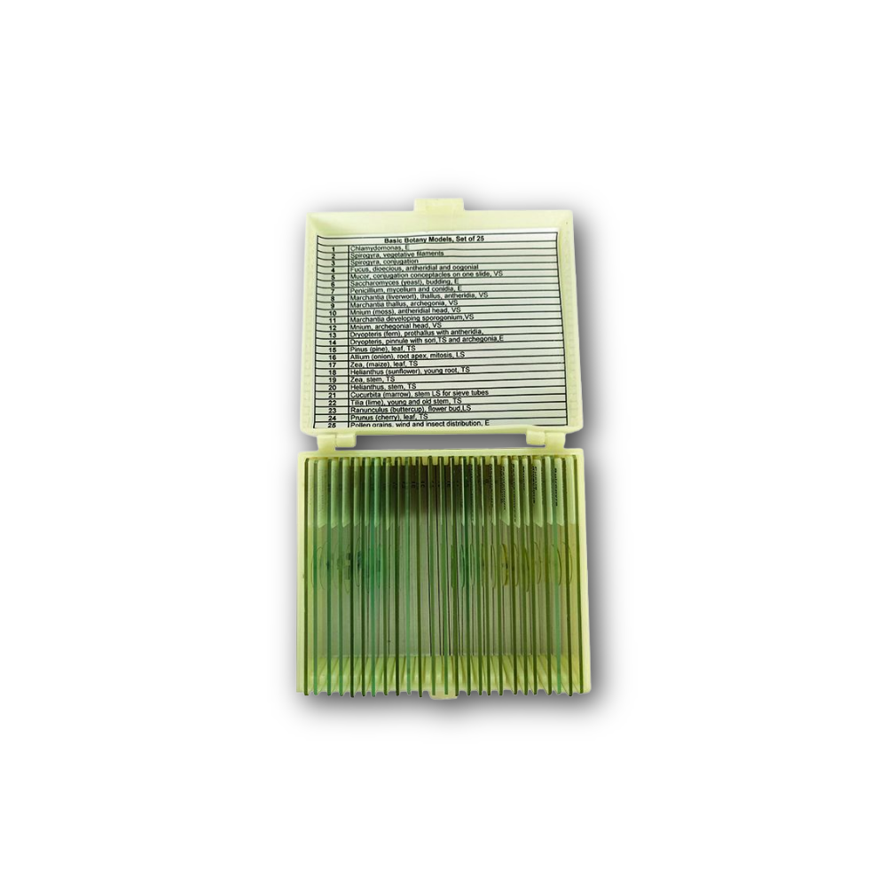 Bacteria Slide Set Of 12