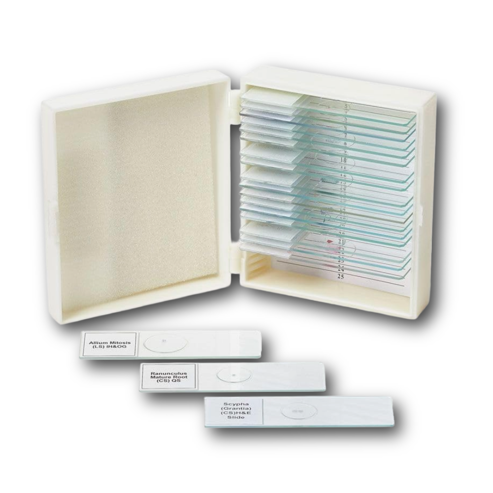 Biology Prepared Slide Set, 13 Slides