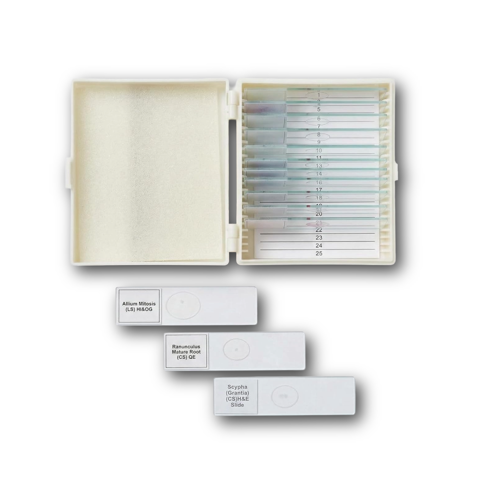 Biology Prepared Slide Set Of 16